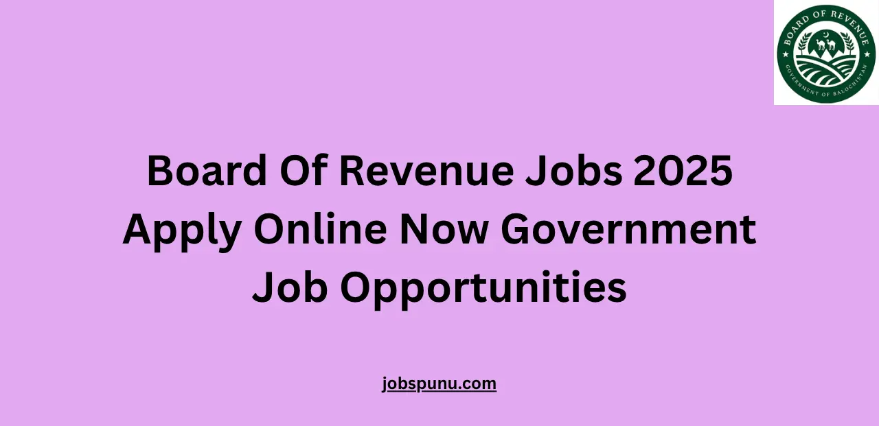Board Of Revenue Jobs 2025 Apply Online Now Government Job Opportunities